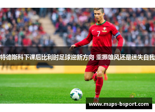 特德斯科下课后比利时足球迎新方向 重振雄风还是迷失自我