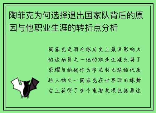 陶菲克为何选择退出国家队背后的原因与他职业生涯的转折点分析