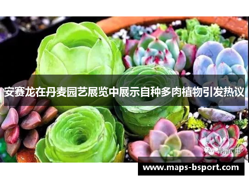 安赛龙在丹麦园艺展览中展示自种多肉植物引发热议